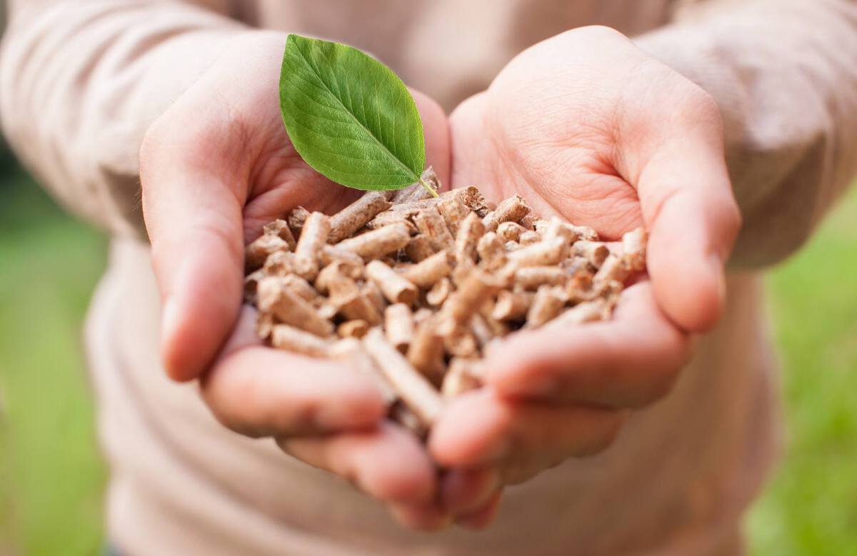 Kocioł na węgiel, kocioł na gaz... A może kocioł na biomasę jest tym czego szukasz?