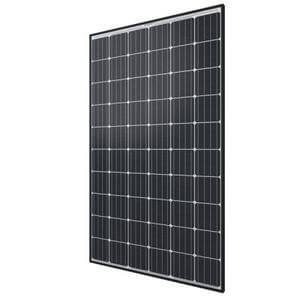Qcells Q.PEAK BLK-G4.1